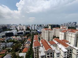 Stirling Residences (D3), Apartment #450197851